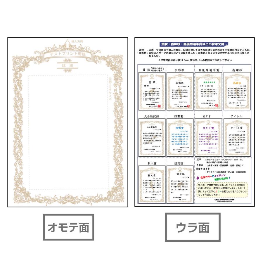 ユニックス UNIX 種目別賞状用紙 ソフトボール 賞状 A4 10枚
