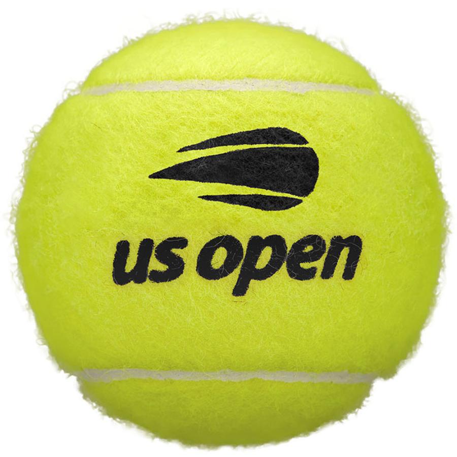 Wilson（ウイルソン） Wilson USオープン・エクストラ・デューティ US