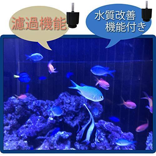 ラモーン スポンジフィルター 大型 Xy 2813 ろ過装置 水槽 フィルター 金魚 熱帯魚 1個 K07qc76prl Si K 通販 Yahoo ショッピング