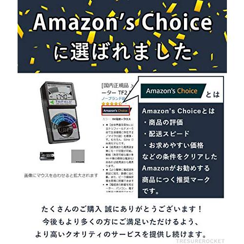 アウトレットオーダー [国内正規品 メーカー] 電磁波計 電磁波測定器
