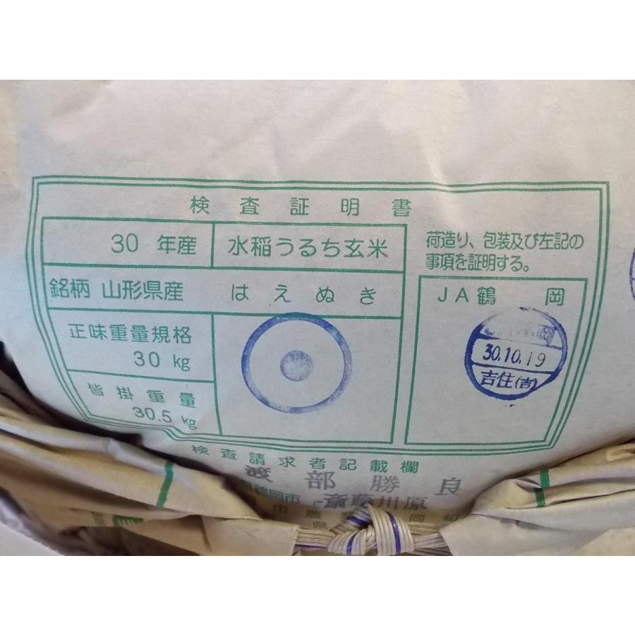 令和7年の山形県産新米が入荷しました！はえぬき玄米30kg 一等米100