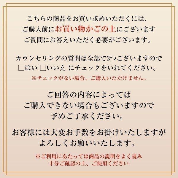 SHISEIDO メーキャップ　シンクロスキン　ラディアントリフティング　ファンデーション　310　Silk　30g　資生堂｜sian｜03
