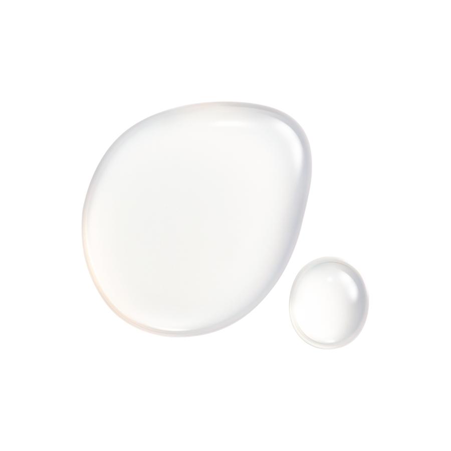 SHISEIDO オイデルミン　エッセンスローション レフィル２点  正規品保証 SHISEIDO オイデルミン エッセンスローション レフィル2点 正規品保証