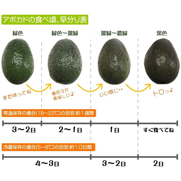メキシコ産 プレミアム アボカド 10玉 送料無料 完全園地 生産者指定 樹上完熟 Sc Ot Pa10t Y 産直グルメ しいあすねっと 通販 Yahoo ショッピング