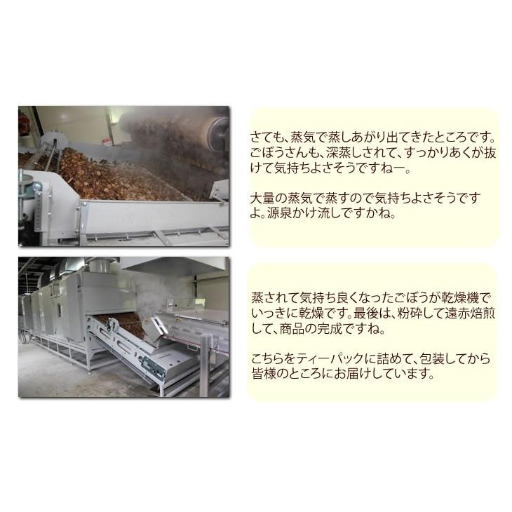 ごぼう茶 送料無料 75g 2.5g×30包 健康 美容 100%九州産ごぼう使用 ゴボウ茶 健康茶｜siasunet｜05