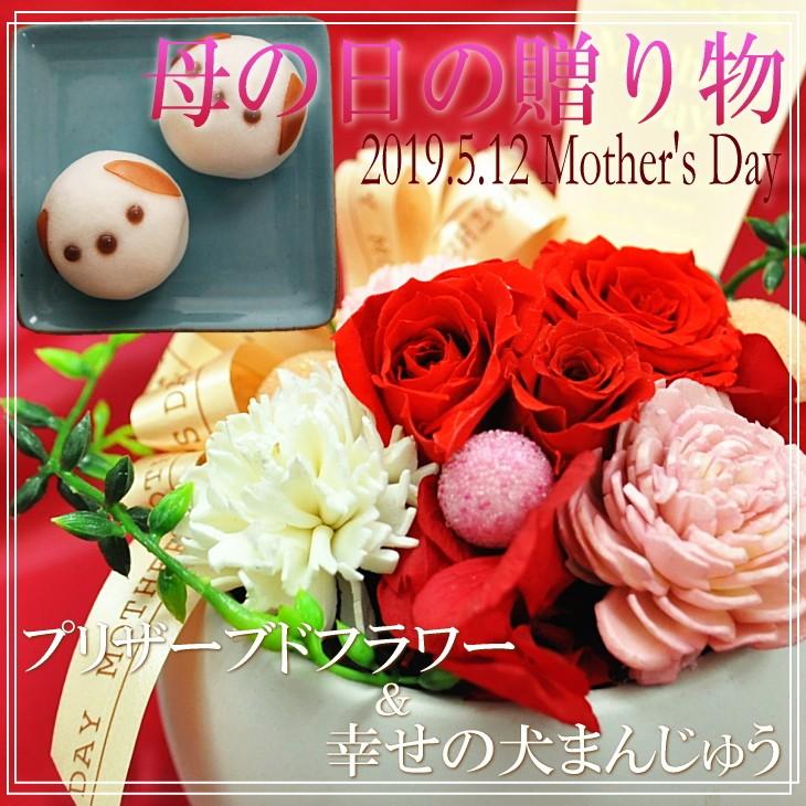 遅れてごめんね 母の日 和菓子 ギフト 花 セット 19 Mother S Day スイーツ プリザーブドフラワー トリプルローズ と幸せの 犬まんじゅう Sc Sk Hpuin2tr Y 産直グルメ しいあすねっと 通販 Yahoo ショッピング
