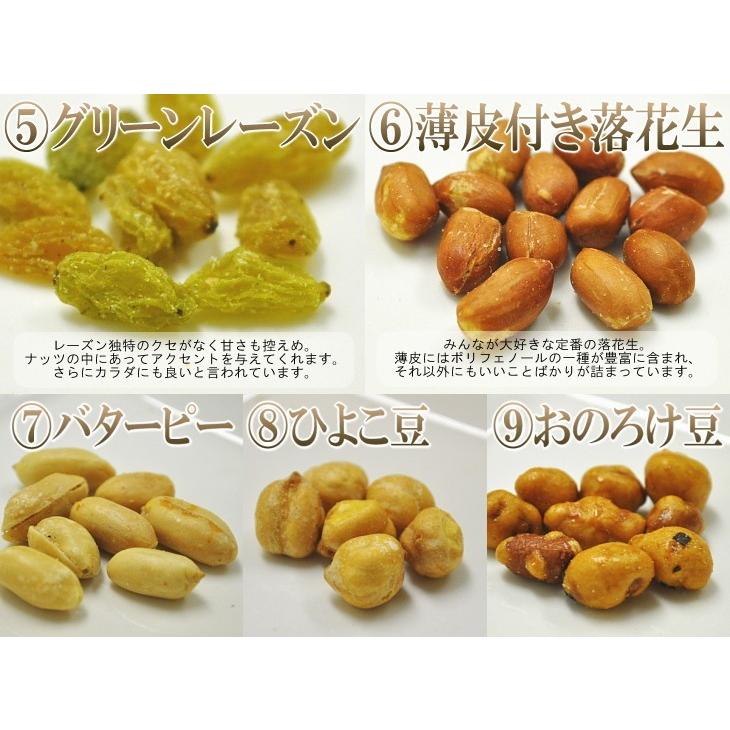 ミックスナッツ 450g 9種入 お徳用 メール便 送料無料 塩味