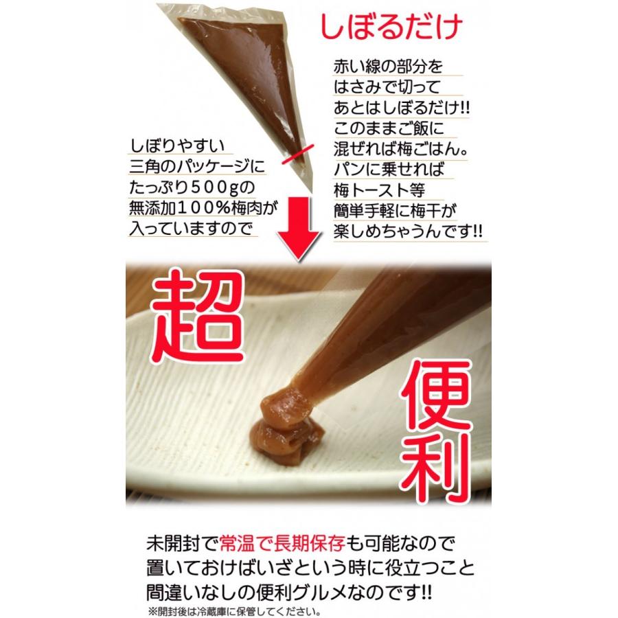 梅肉 紀州南高梅 無添加 500g 塩分20% 昔ながらの梅干し 送料無料 業務