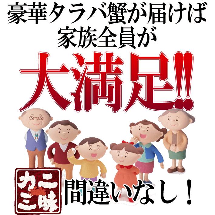 タラバガニ 蟹 カニ 脚 特大 ボイル 茹で 焼き 鍋 ステーキ バーベキュー ギフト 贈答用 冷凍 たらば 800g 送料無料 セール｜siasunet｜06