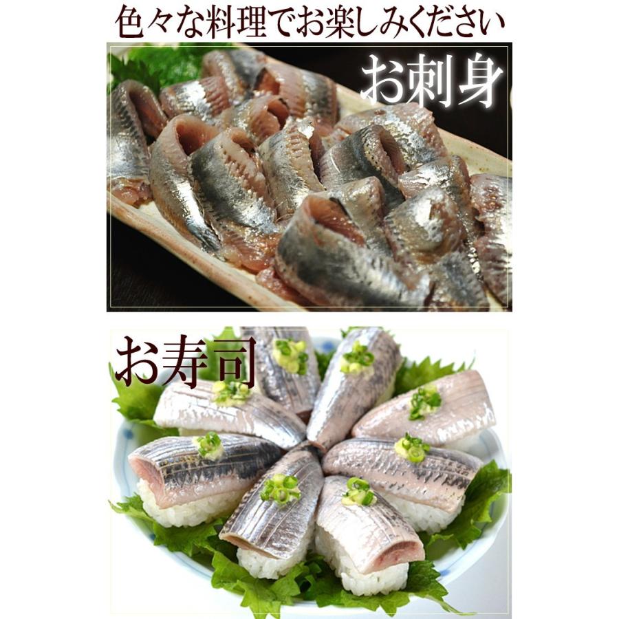 いわし イワシ 鰯 青森 八戸 1kg 急速冷凍でお刺身でも 送料無料 サイズ不選別 Sc Y Ariw1000 Y 産直グルメ しいあすねっと 通販 Yahoo ショッピング