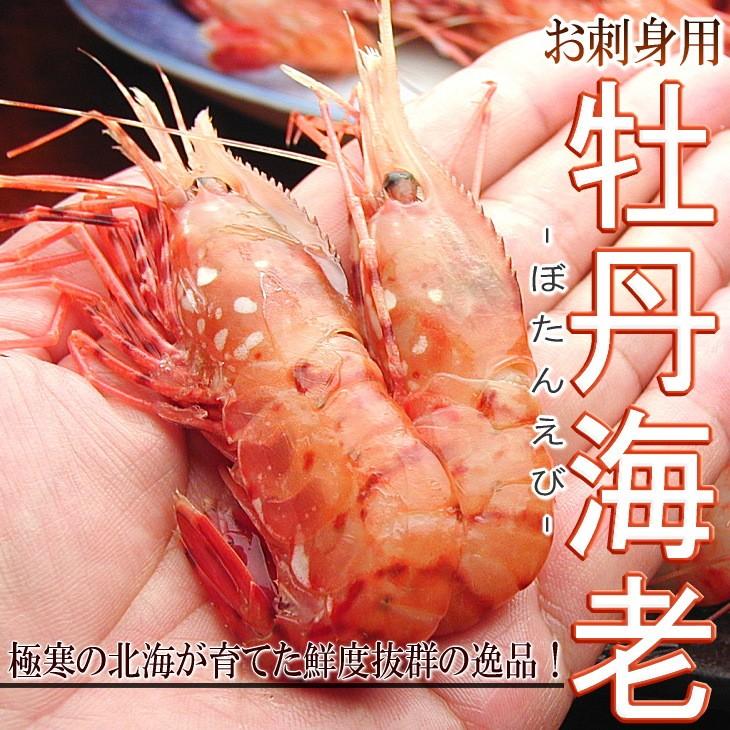 正規品 ボタン海老 お刺身用 牡丹えび ぼたんえび 海老 卵 ロシア産 船内凍結 500g 9 12尾前後 2 3人前 送料無料 セール Bemaxarena Me