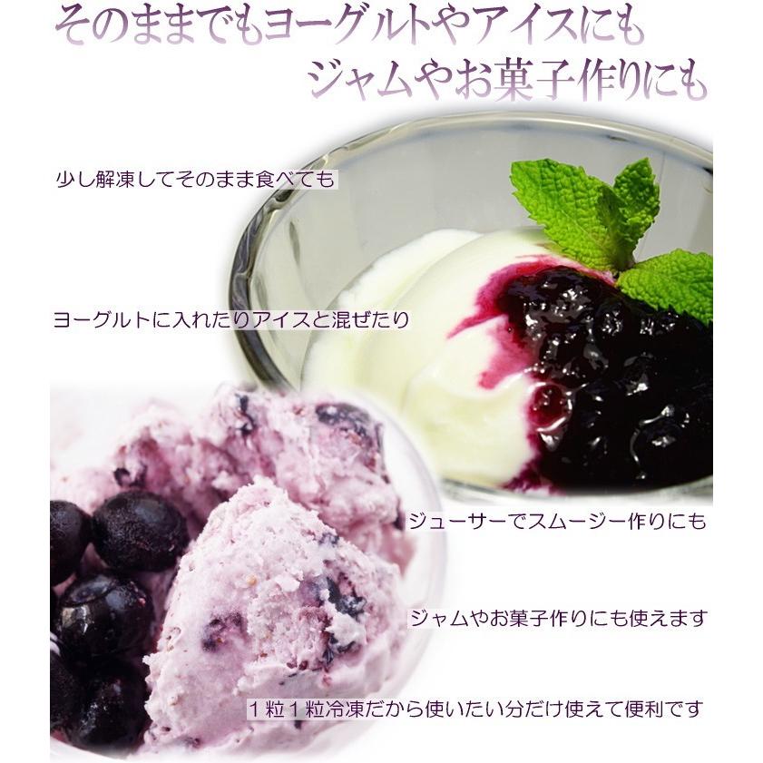 ブルーベリー 国産 冷凍 産地直送 天然サプリ 美容 健康 アントシアニン 1kg ヨーグルト アイス ジャム セール :sc-y-gbbr1000-y:産直グルメ しいあすねっと - 通販 - Yahoo!ショッピング ブルーベリー 国産 冷凍 産地直送 天然サプリ 美容 健康 アントシアニン 1kg ヨーグルト アイス ジャム セール :sc-y-gbbr1000-y:産直グルメ しいあすねっと - 通販 - Yahoo!ショッピング