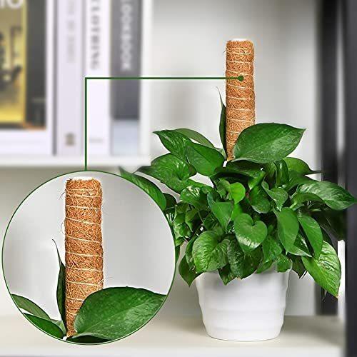園芸支柱 観葉支柱 植物支柱 つる性植物 観葉植物 植物サポート フラワースタンド 2個30cm園芸支柱 2m麻縄 5 A B09dg9dy しあわせ本舗 通販 Yahoo ショッピング