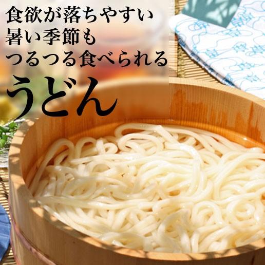 母の日 2024 プレゼント ギフト 食べ物 うどん 讃岐うどん 送料無料 セール 太麺 本場 6人前 セット お取り寄せ  特産品 名物商品 gift6nin｜siawaseseimen｜02