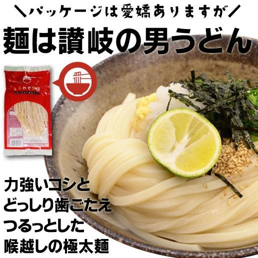 母の日 2024 プレゼント ギフト 食べ物 送料無料 うどん 讃岐うどん 3000g 30人前 つゆ付き まとめ買い 太麺 特産品 名物商品 しあわせ製麺 matome-30nin｜siawaseseimen｜03