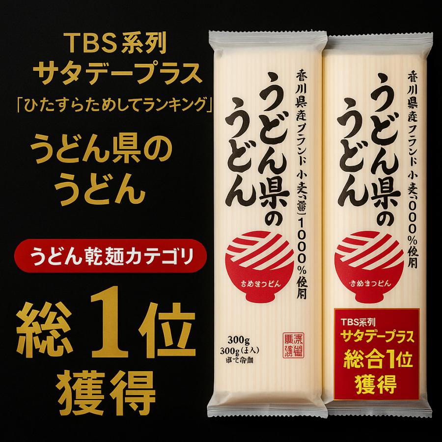 うどん うどん 讃岐うどん 送料無料 乾麺 うどん県のうどん 45人前 300gx15