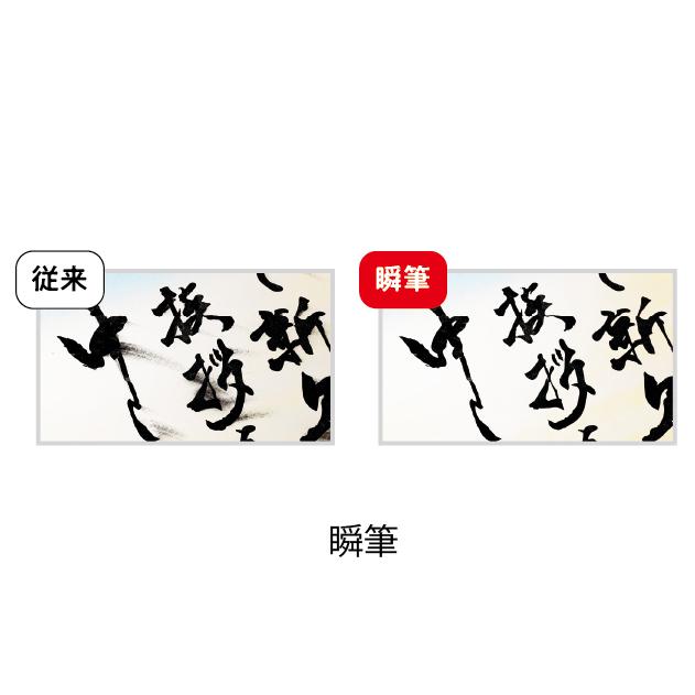 筆まかせ PILOT パイロット 筆まかせ ワクワクねこだらけ 極細・硬筆