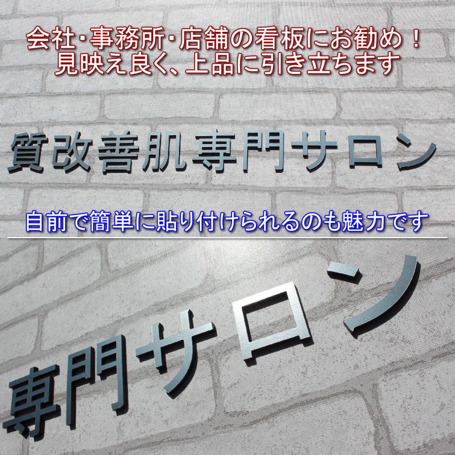 切り文字 表札 切文字 ステンレス調シルバー ゴールド ブラック アクリル 軽量 漢字 ひらがな カナ 英数字 記号 戸建て 新築 マンション 店舗 会社 事務所 |  | 12