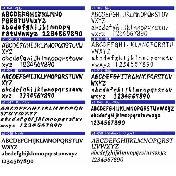 切り文字 表札 切文字 ステンレス調シルバー ゴールド ブラック アクリル 軽量 漢字 ひらがな カナ 英数字 記号 戸建て 新築 マンション 店舗 会社 事務所 |  | 19