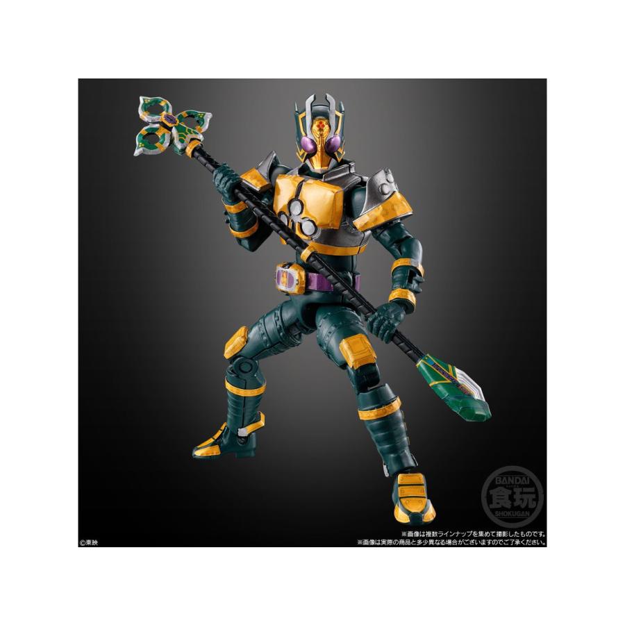BANDAI（バンダイ） バンダイスピリッツ SO-DO CHRONICLE 仮面ライダー