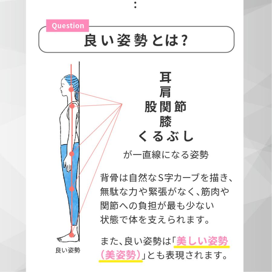 MEDIAID 猫背矯正ベルト 医療メーカー公式 姿勢矯正 背筋矯正 男性