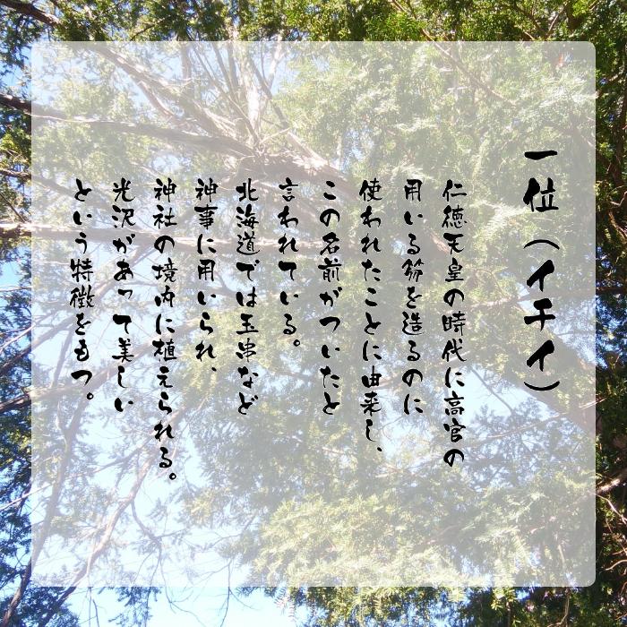 表札 木製 木 戸建て おしゃれ かっこいい マンション 二世帯 高耐久性 銘木 イチイ彫刻 和 ナチュラル スタイリッシュ シンプル コンパクト 人気 30 Off K263t K263t 表札ギャラリー 通販 Yahoo ショッピング