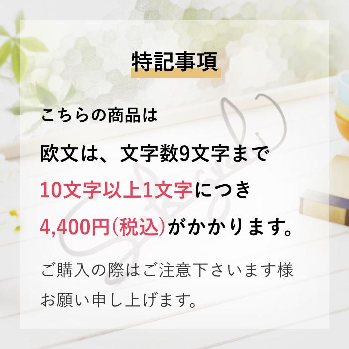 アイアン表札 切り文字 戸建て おしゃれ オーダーメイド カリエ サイン 筆記体 アルファベット 人気 安心 安全 ローマ字 長方形 Sir 221 Sir 221 表札ギャラリー 通販 Yahoo ショッピング