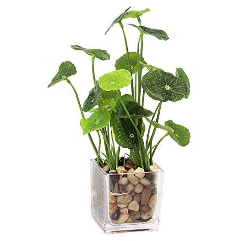 ５５ 以上節約 Cicc鉢植え 造花 観葉植物 人工観葉植物 フェイクグリーン ガラス鉢 デコレーション インテリア おしゃれ 枯れない 簡単 グリーン