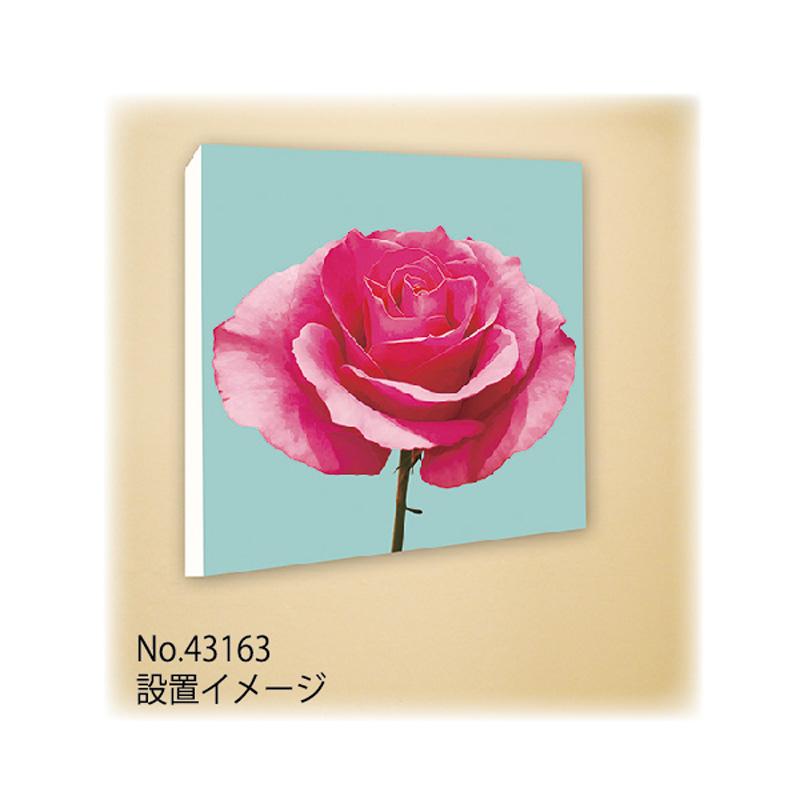 キャンバスアート インテリア 花 植物 プラント おしゃれ 壁掛け CANVAS Plant バラ S30 No.43164｜signcity-yshop｜04