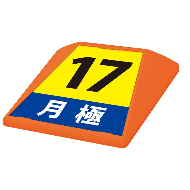 駐車場 看板 路面表示 路面標識 タートイズ オレンジ 表示面セット G