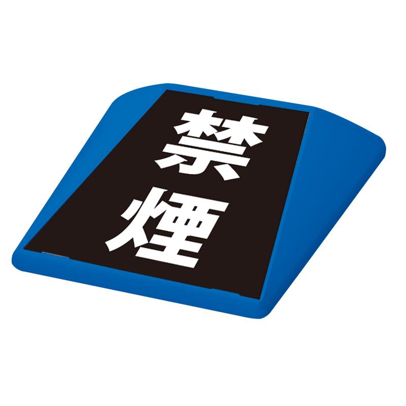 看板　路面看板 駐車場 看板 路面表示 路面標識 タートイズ ブルー 表示面セット G-GT