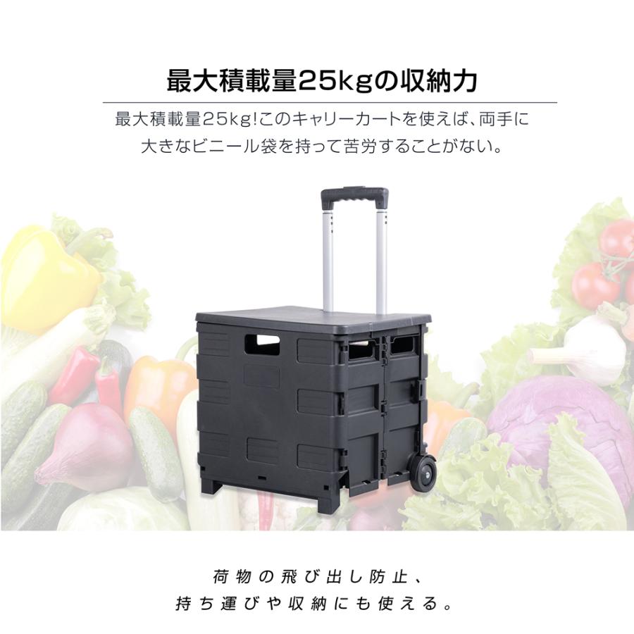 キャリーカート 折りたたみ ふた付き 軽量 耐荷重25kg 買い物 カート
