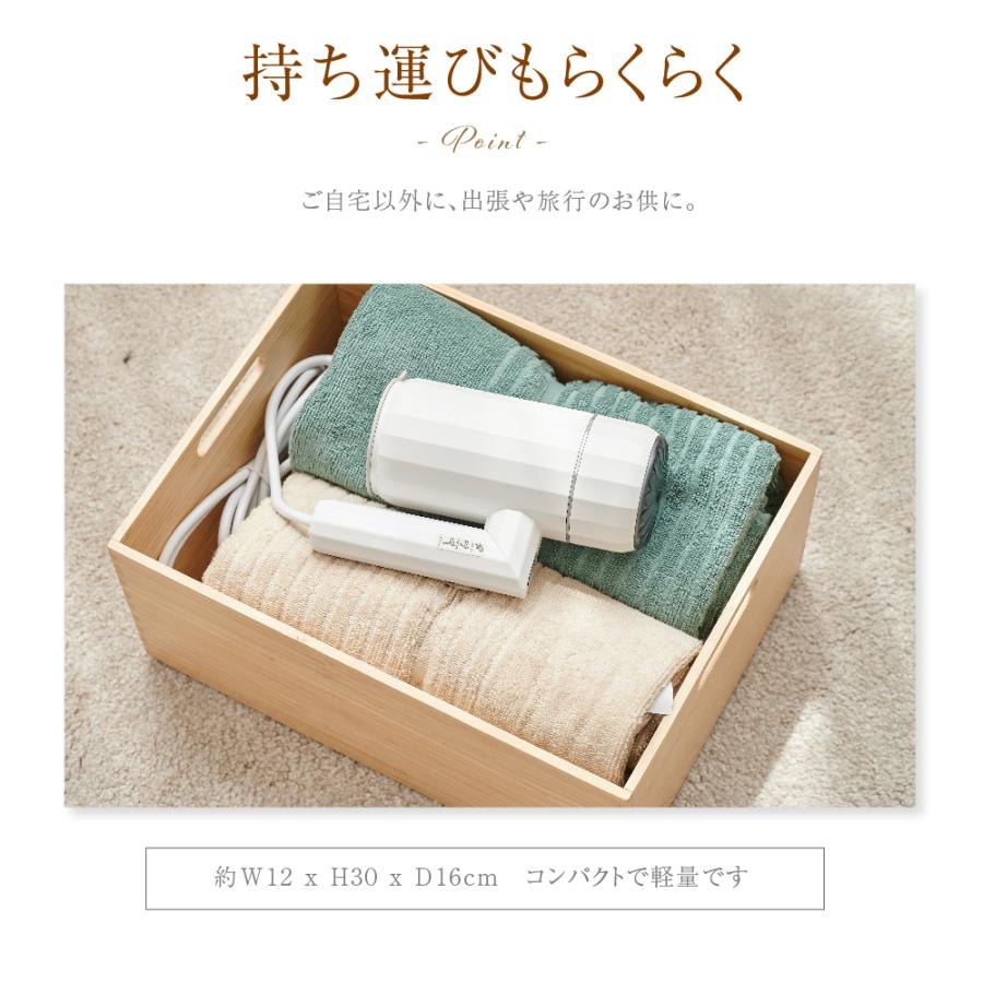 スチームアイロン 衣類スチーマー シワ伸ばし 消臭 除菌 脱臭