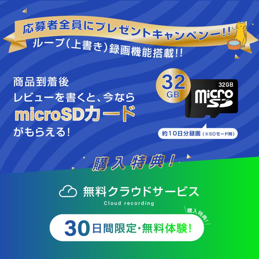 あすつく 新商品 防犯カメラ ペットカメラ 壁掛け ベビーモニター 留守 家庭用 監視カメラ 小型 Sdカード録画 遠隔 無線 自動追跡 Lan Xd Id618 サインキングダム 通販 Paypayモール