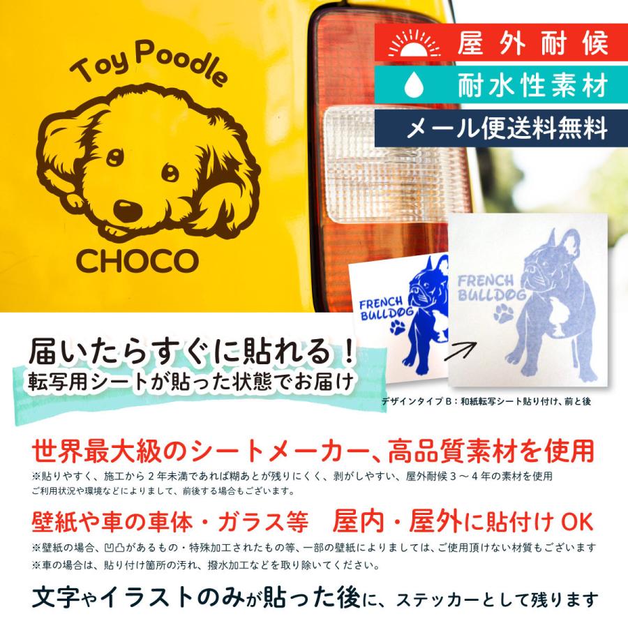 トイプードル ステッカー トイプー オリジナルデザイン ネームが入る