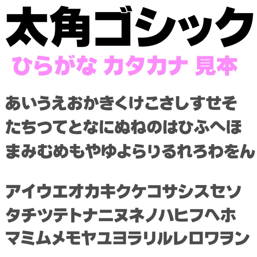 屋外耐候 太角ゴシック 20cm以下 カッティング文字 カッティング 