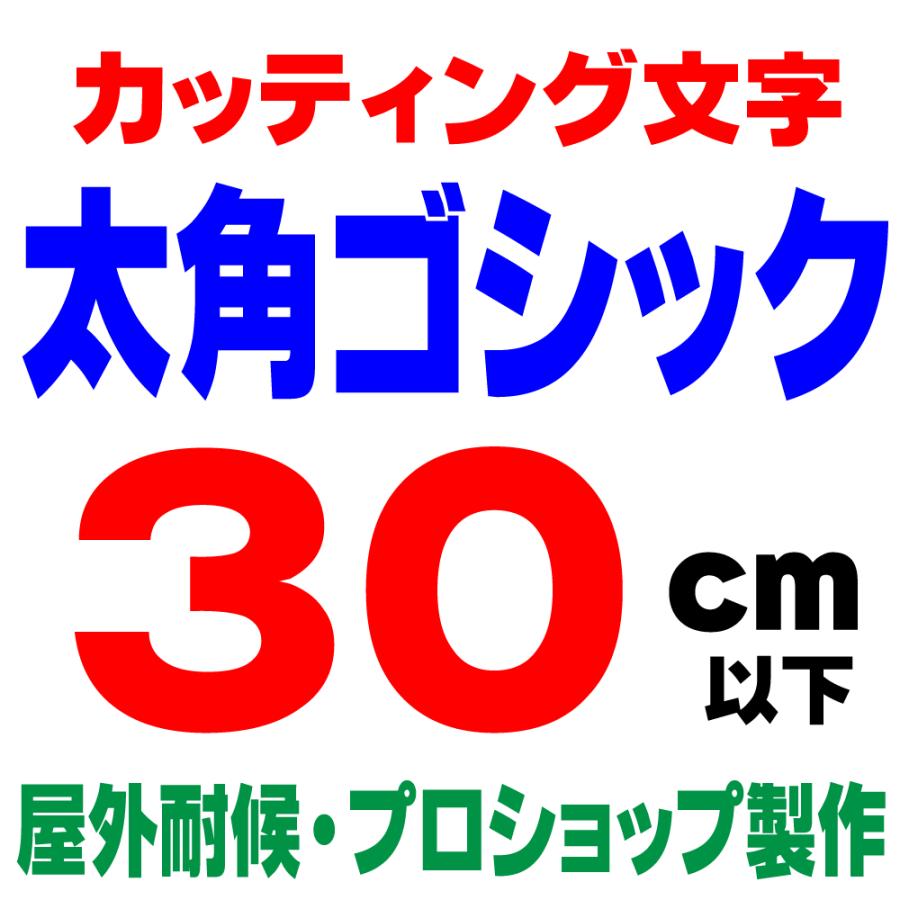 屋外耐候 太角ゴシック 30cm以下 カッティング文字 カッティング