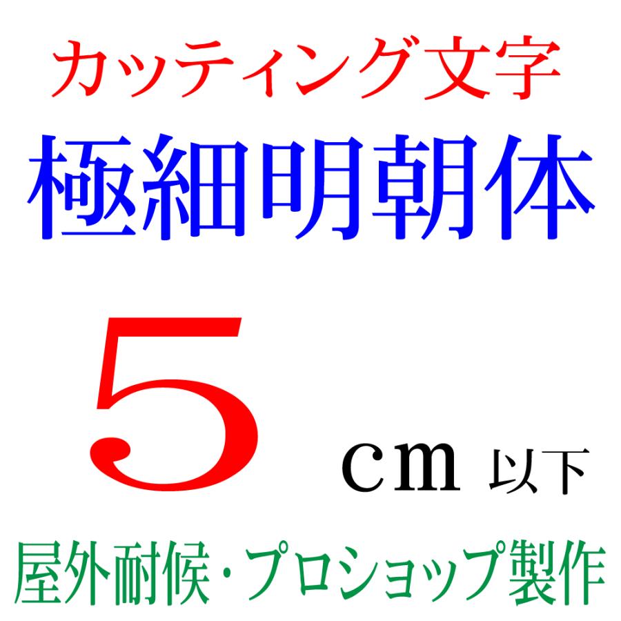 屋外耐候 極細明朝体 5cm以下 カッティング文字 カッティングシート カッティングシール 切り文字 文字 ステッカー 文字ステッカー ☆表札、看板、車☆ :gokuhosomin-5cm:デザイン工房 文字・ステッカー - 通販 - Yahoo!ショッピング 屋外耐候 極細明朝体 5cm以下 カッティング文字 カッティングシート カッティングシール 切り文字 文字 ステッカー 文字ステッカー ☆表札、看板、車☆ :gokuhosomin-5cm:デザイン工房 文字・ステッカー - 通販 - Yahoo!ショッピング