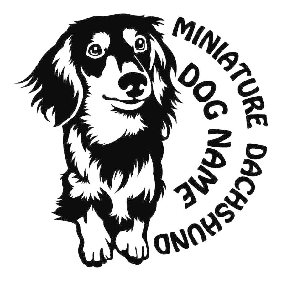 断トツ可愛い ミニチュアダックスフンド ステッカー 12 愛犬ネームが