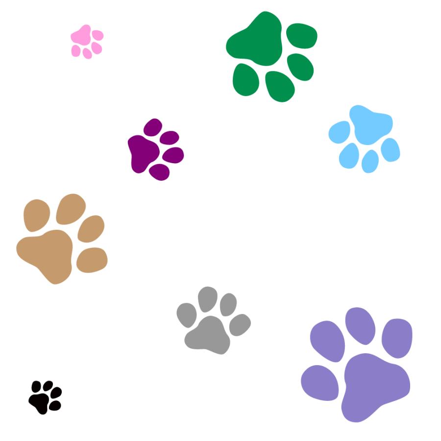 肉球ステッカー デザイン 14 あしあと ステッカー 犬 猫 肉球 ウォールステッカー ウインドウステッカー シール Nikukyuu 14 デザイン工房 文字 ステッカー 通販 Yahoo ショッピング