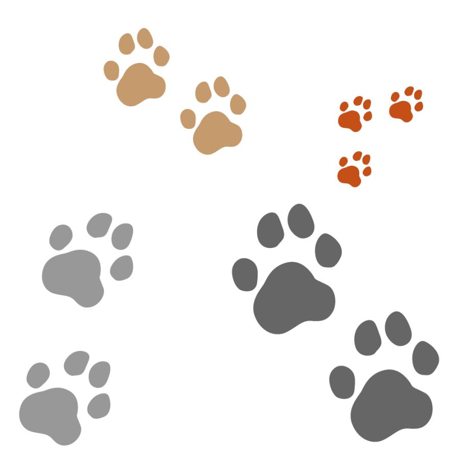 Car 車 ステッカー 肉球 5 窓 給油口 カー 肉球ステッカー 犬 猫 足跡 ウォールステッカー ウインドウステッカー シール Nikukyuu 5 11maiset デザイン工房 文字 ステッカー 通販 Yahoo ショッピング