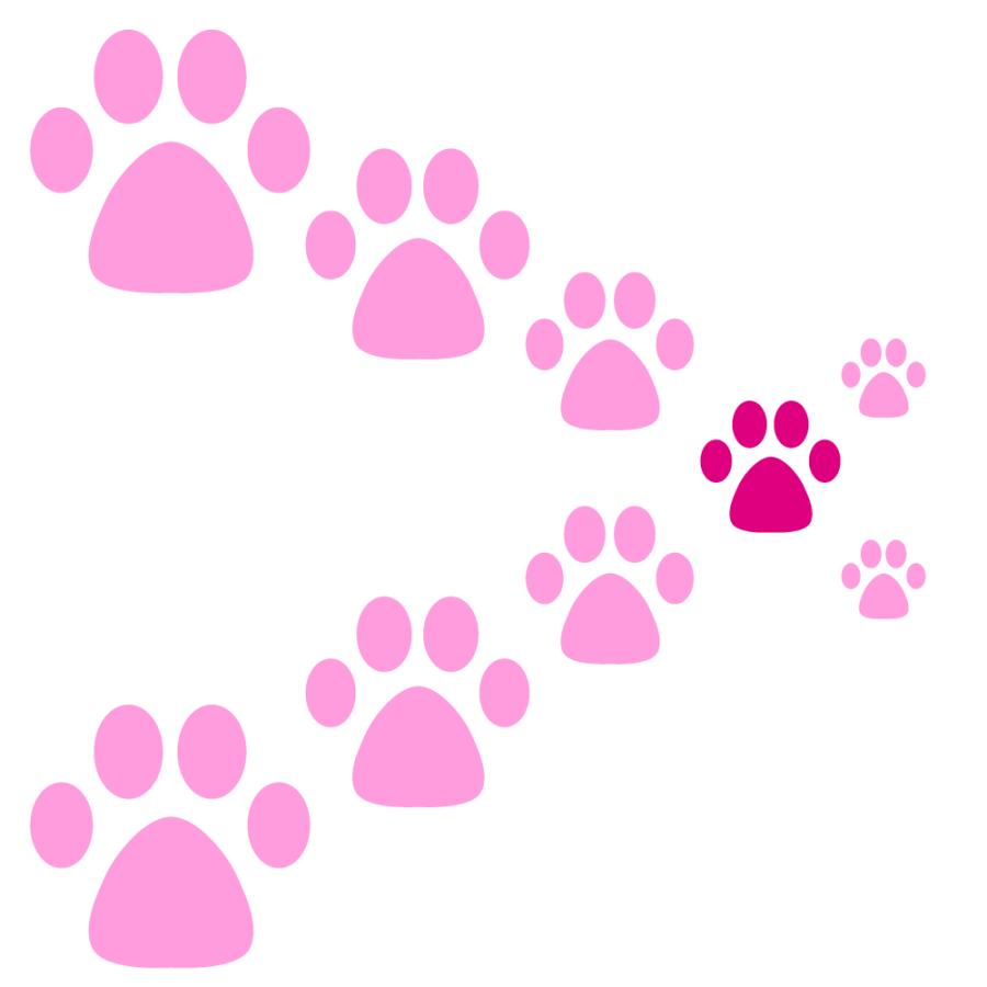 肉球ステッカー デザイン 7 あしあと ステッカー 犬 猫 肉球 ウォールステッカー ウインドウステッカー シール Nikukyuu 7 デザイン工房 文字 ステッカー 通販 Yahoo ショッピング