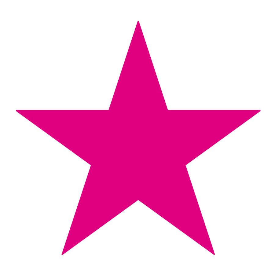 たくさんの 星 星型 ウォールステッカー ウインドウステッカー STAR