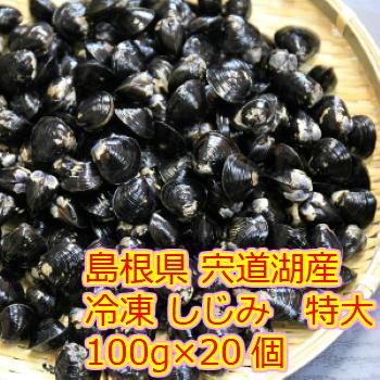 13周年記念イベントが 島根県 宍道湖産 冷凍しじみ 特大サイズ 殻幅