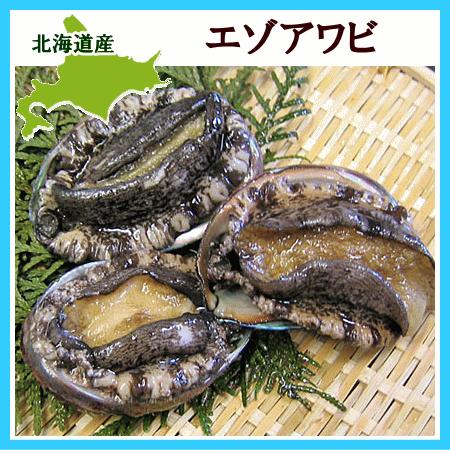エゾアワビ 中 80g 3個 北海道産蝦夷鮑 殻長約8cm前後 Awabi1 旬をお取り寄せ 北海道四季工房 通販 Yahoo ショッピング