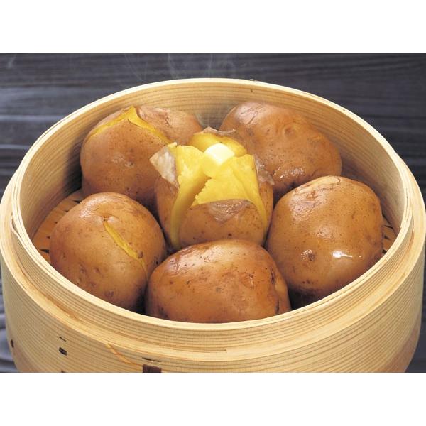 インカのめざめ（M〜Lサイズ混）10Kg 北海道産 じゃがいも 出荷時期 10