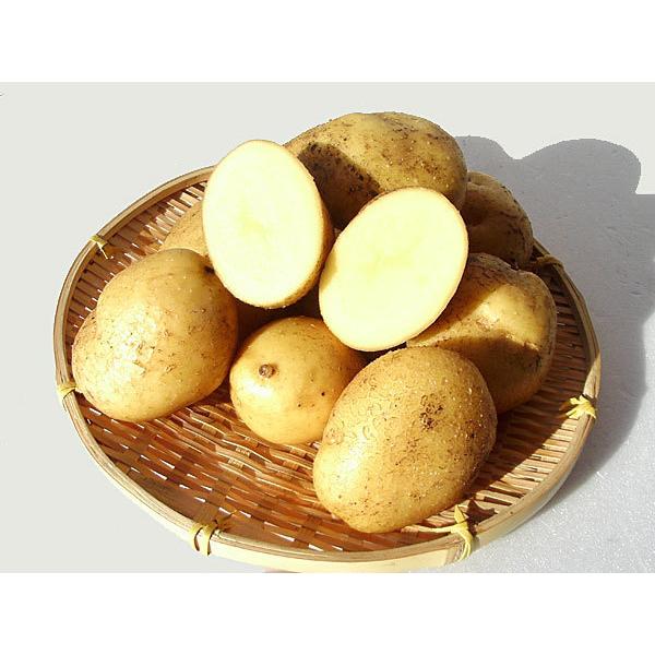 ☆N.T☆！俵マゼラン10㎏、ながさき黄金じゃがいも10㎏　計20㎏ ながさき黄金（M〜Lサイズ混）10Kg 北海道産 じゃがいも 出荷時期 10
