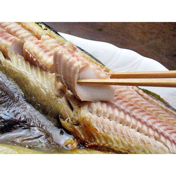 ひらきほっけ（大・約300g）×5枚 北海道産 ホッケ一夜干 : 旬をお