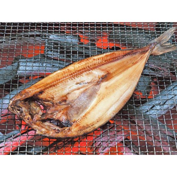 ひらきほっけ（大・約300g）×5枚 北海道産 ホッケ一夜干 : 旬をお