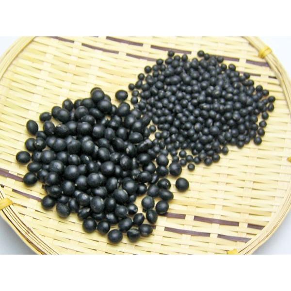 黒千石大豆どん(300g)×1個 北海道産 : 旬をお取り寄せ・北海道四季工房